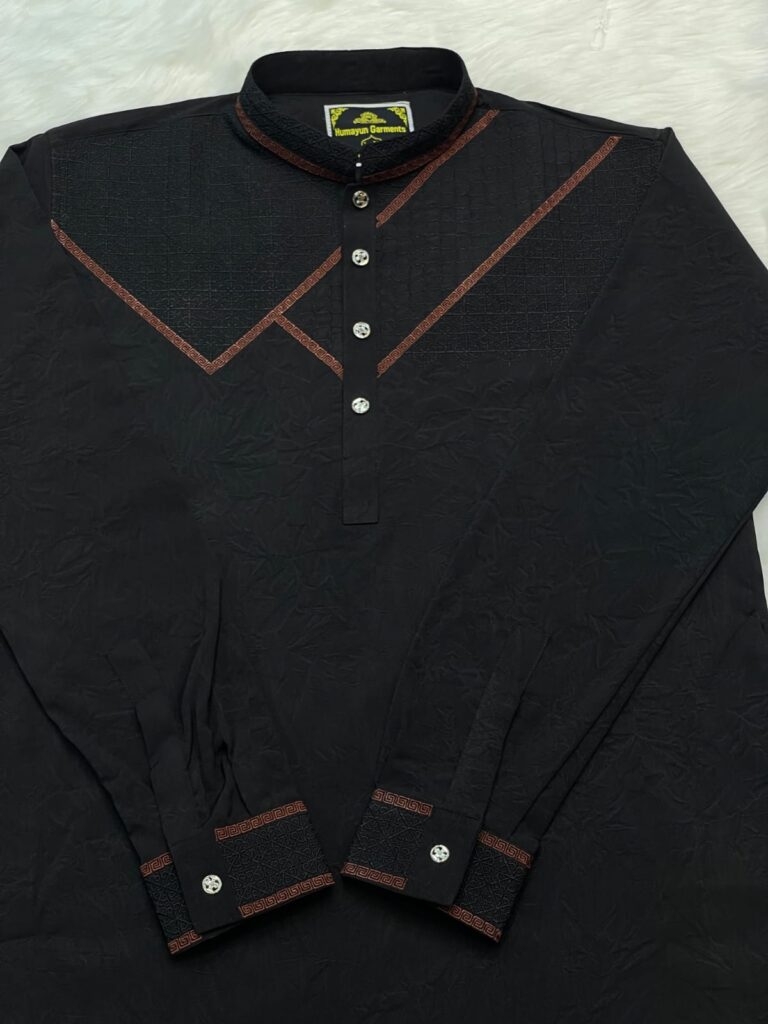 Sequence Embroidery Panjabi