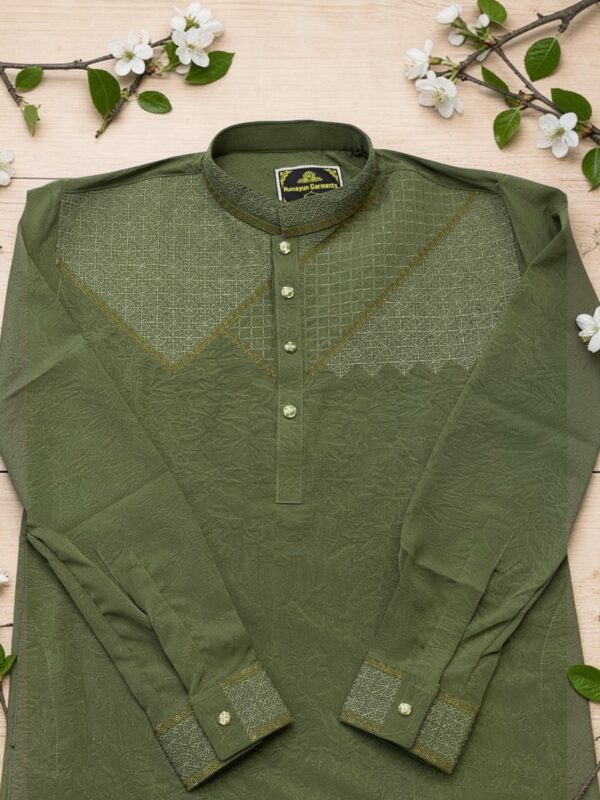 Sequence Embroidery Panjabi